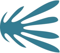 Unleash Networks Icon